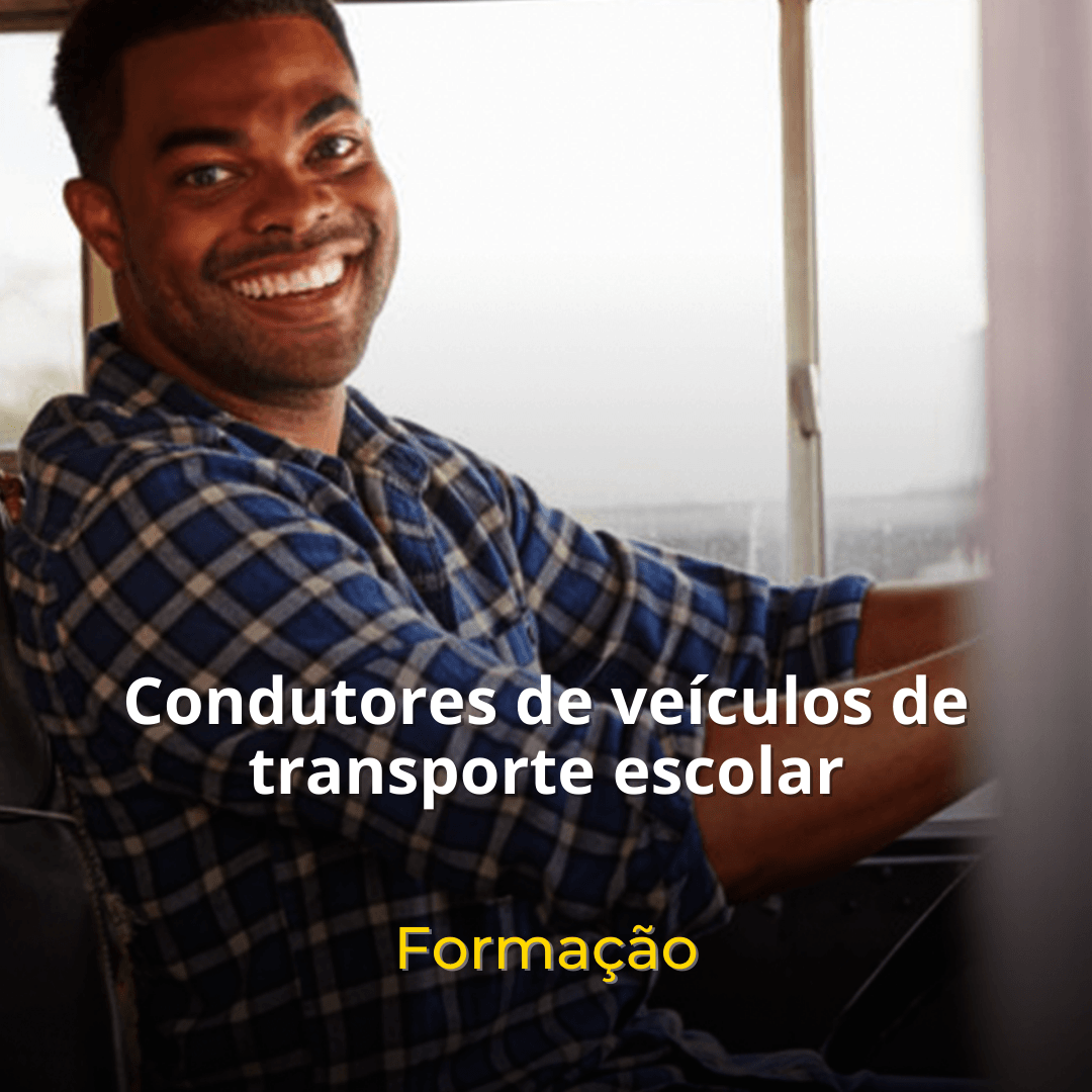 Veículos de Transporte Escolar